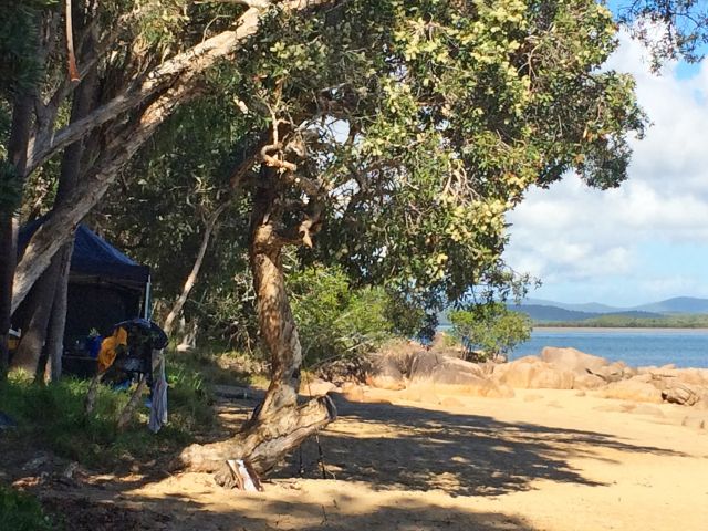 Set up your camp above the high-tide mark, within the flat, grassy area.