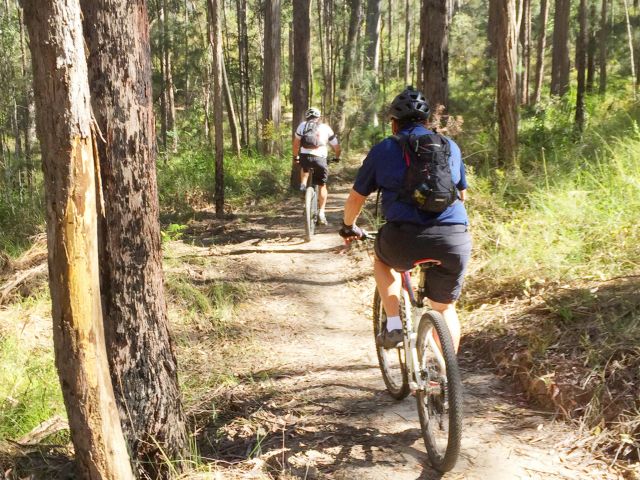 Jump on your bike and enjoy an easy ride on the Ewen Maddock mountain bike trail.