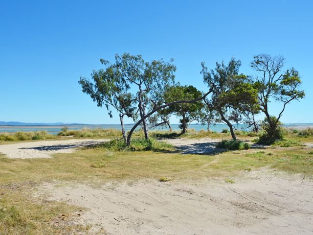 Some camp sites at Cape Creek camping area are shaded by sheoaks.