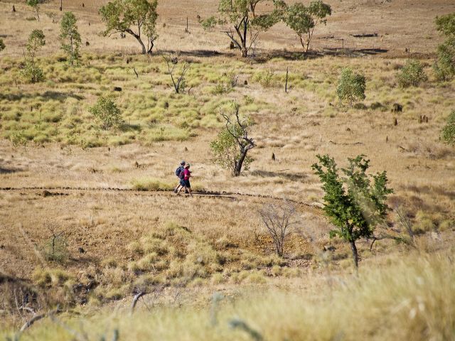 Wind your way to the top of the limestone outcrop on the Riversleigh fossil trail.