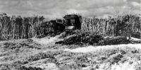 Black and white photo of a concrete viewing box perched in vegetated sand dunes.