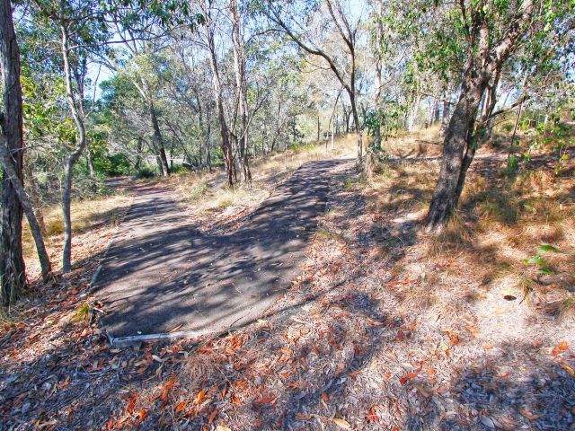 Walk through woodland of Goodwood gum, and listen for wrens, woodswallows and fairy-wrens along the River walk.